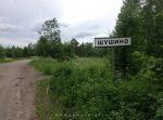 дорога от деревни к участку