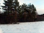 Поляна в центре в окружении леса (зимний вид)