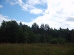 Вид участка
