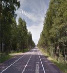 к участку по Зеленогорскому шоссе