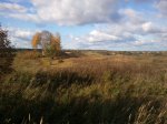 Вид участков