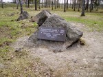 Противотанковые надолбы линии Маннергейма из района реки Бурная