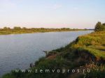 Берег реки Луга