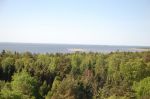 Финский залив с участка